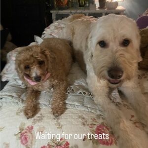 Meet your Posher, Anita